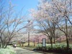Kagamiyama-Park