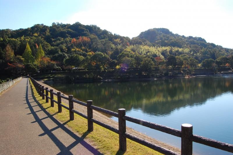 城の前に広がる奥田大池も、四季折々の風景を湖面に映し、目を楽しませてくれます。