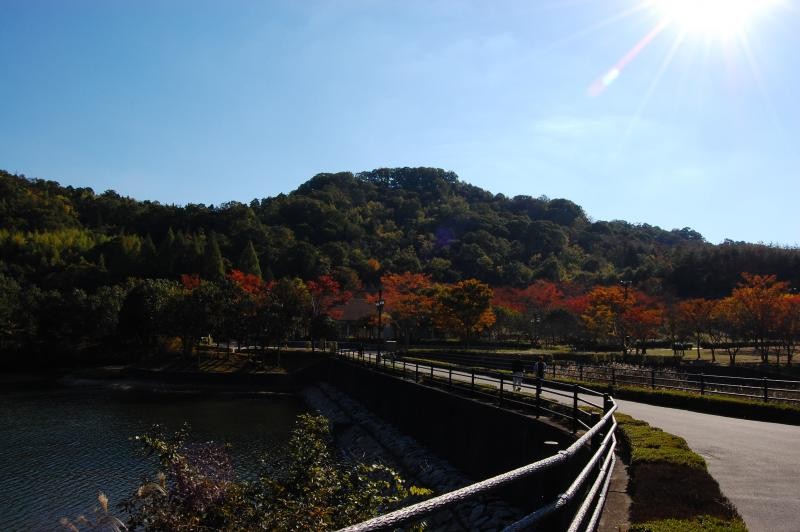 鏡山城跡の遠景です。麓の鏡山公園からの登山道も整備されており、ちょっとしたハイキングにも最適です(頂上付近まで20分～30分)。