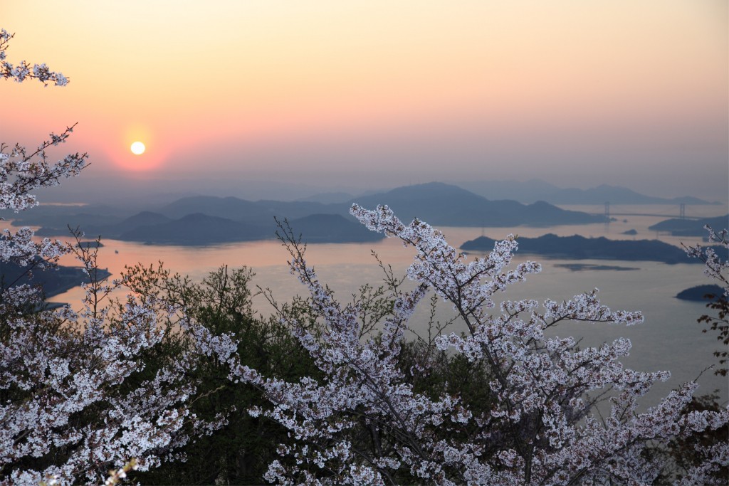 満開の桜と多島美のコラボレーションが楽しめる！