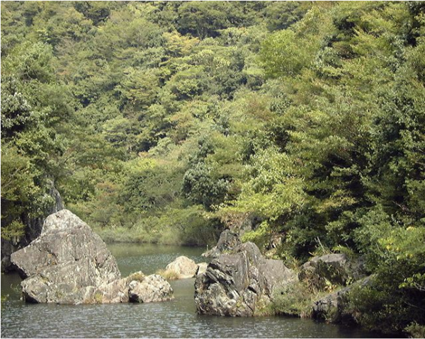 日本の風景 自然公園50周年記念 日本の風景 自然公園50周年記念 日本の