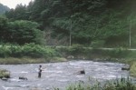 Saijo River