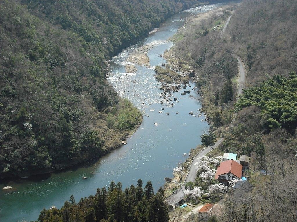 目の前に広がる清流西城川