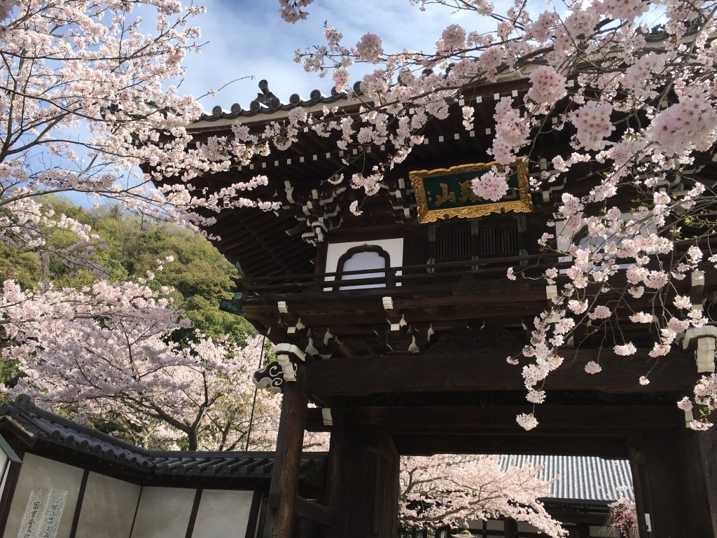 明亮的恒星星云和被明亮的大气层环绕的行星——图库图片© Georgina198 #246667988, image size:1024x768