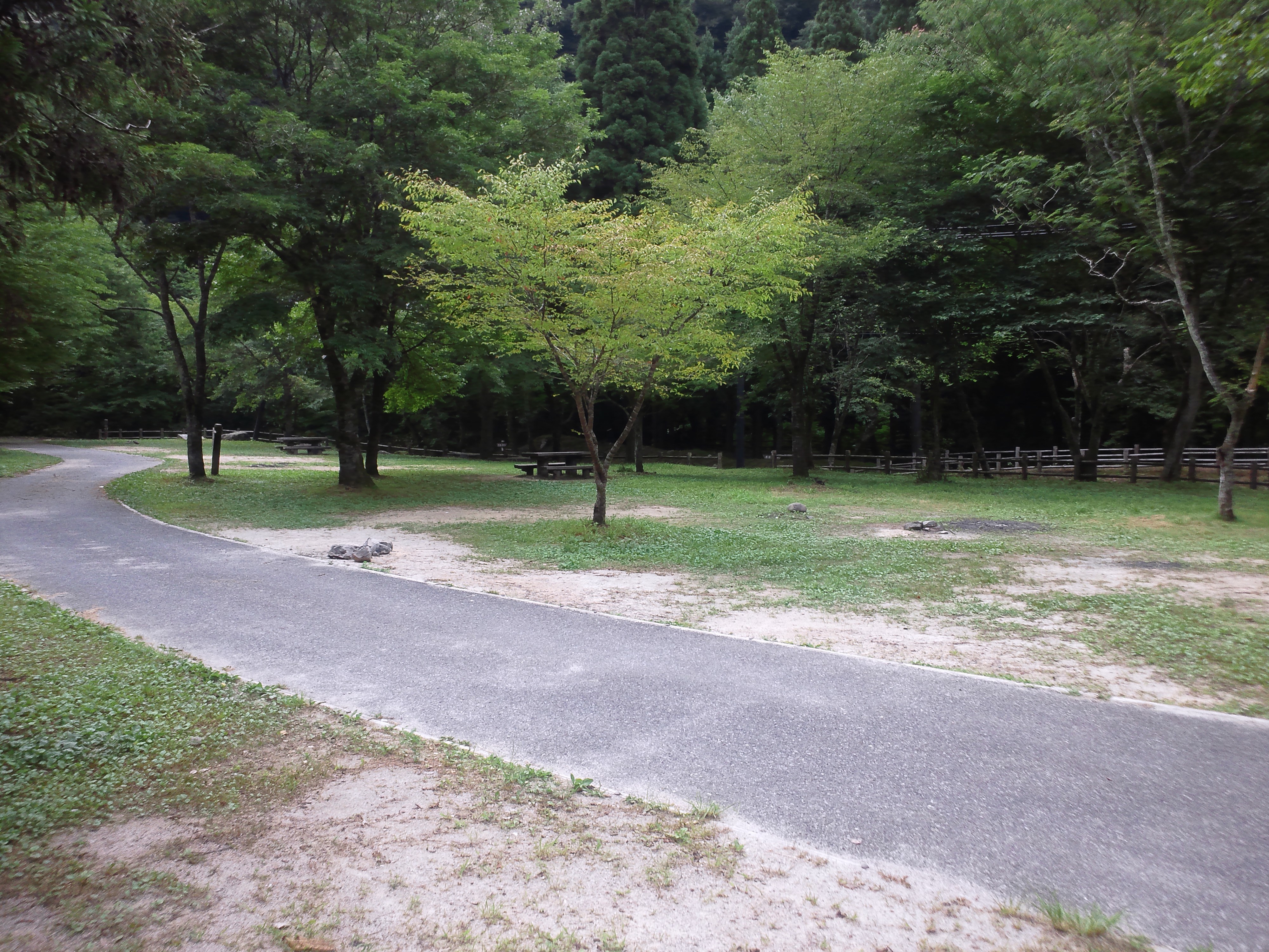 立野キャンプ場