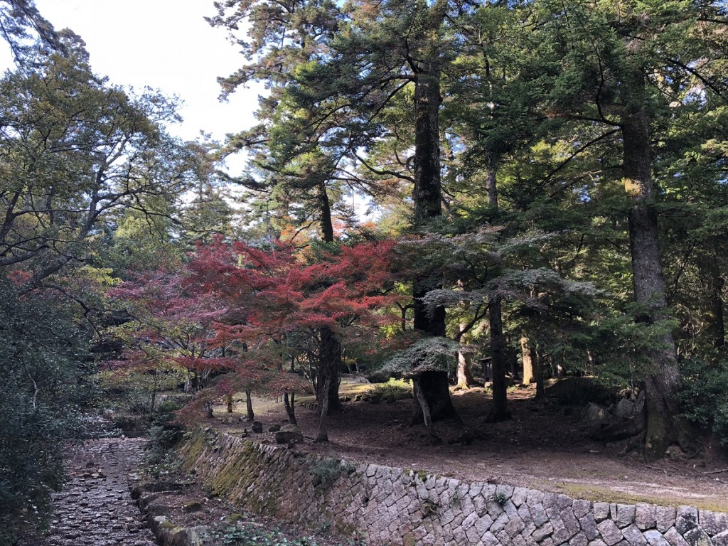 大元 