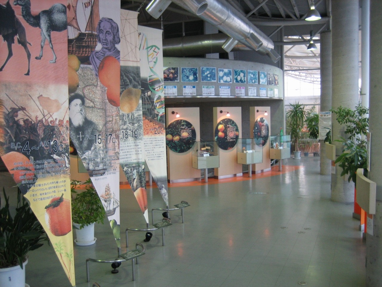 シトラスパビリオン内の柑橘に関する資料の展示コーナー