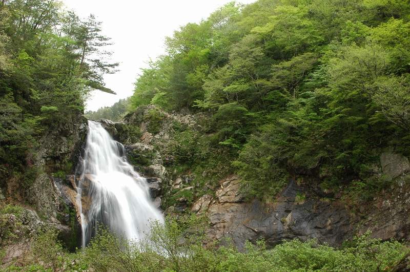 水量も多くみごとな滝で広島県の名瀑に入ります