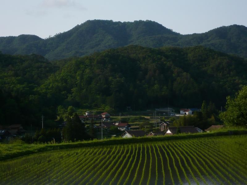 日野山全景