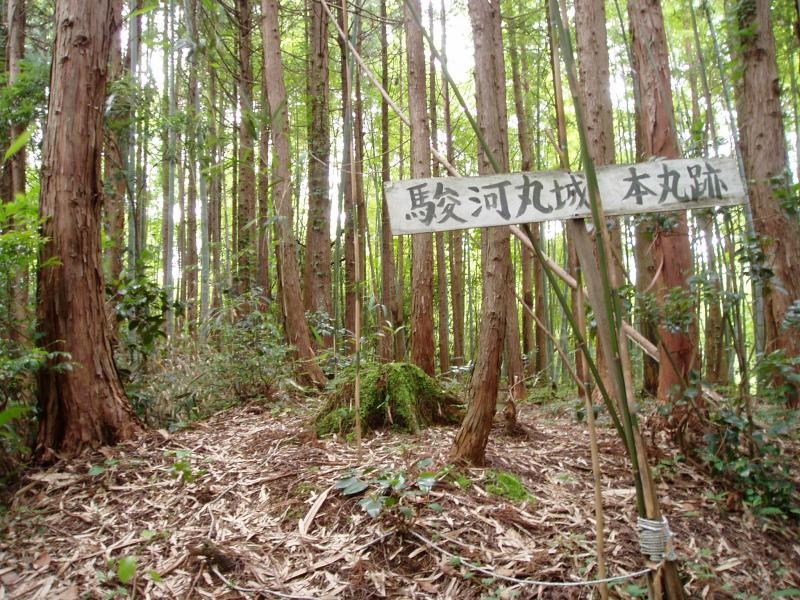 駿河丸城跡本丸跡