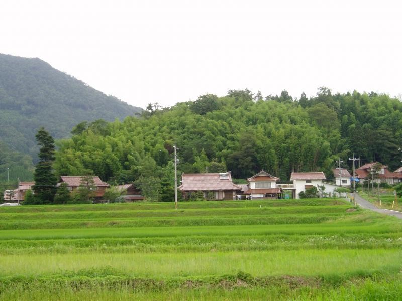 駿河丸城跡全景