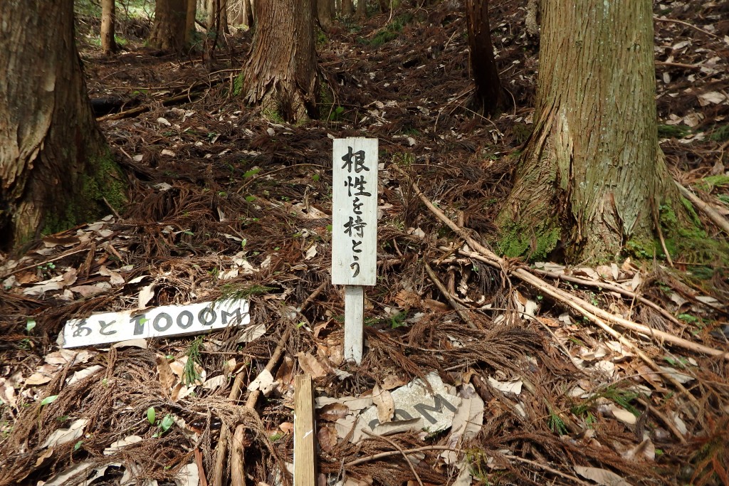 登山道