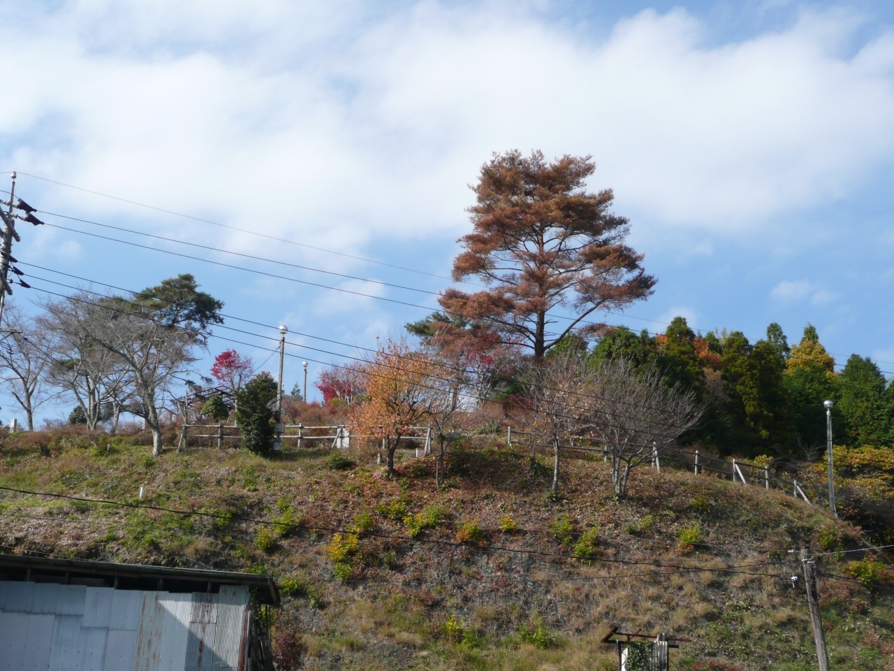 下から見た公園です