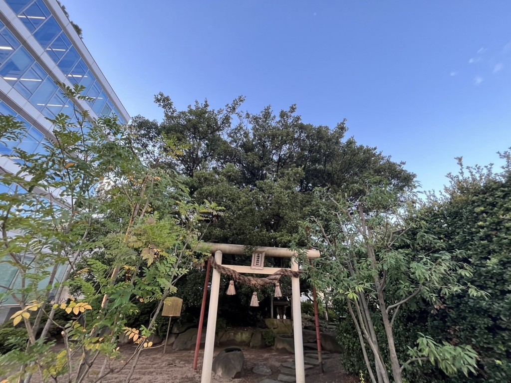山波艮神社のウバメガシ | 【公式】広島の観光・旅行情報サイト Dive