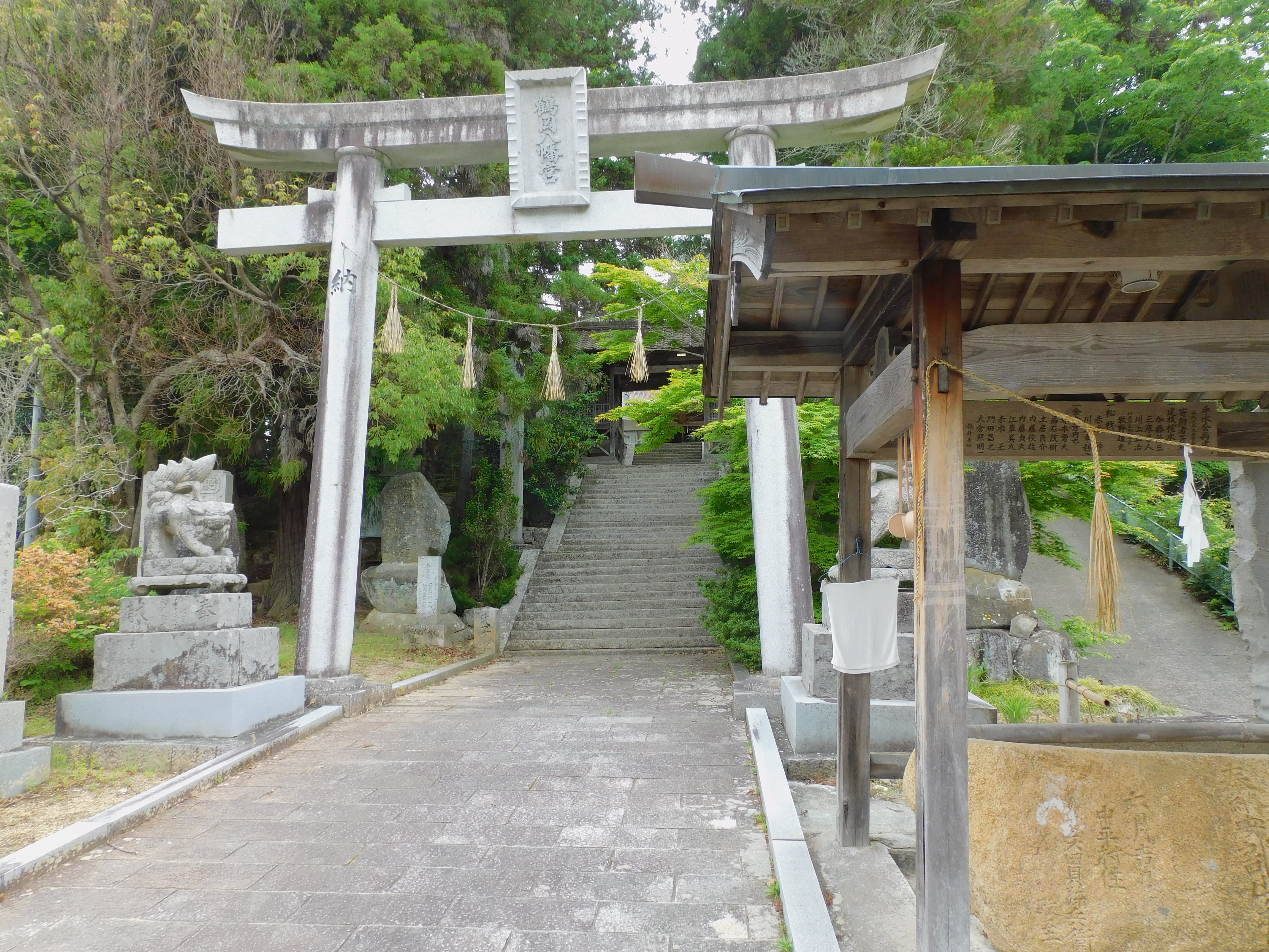 鶴岡八幡神社の鳥居と社叢