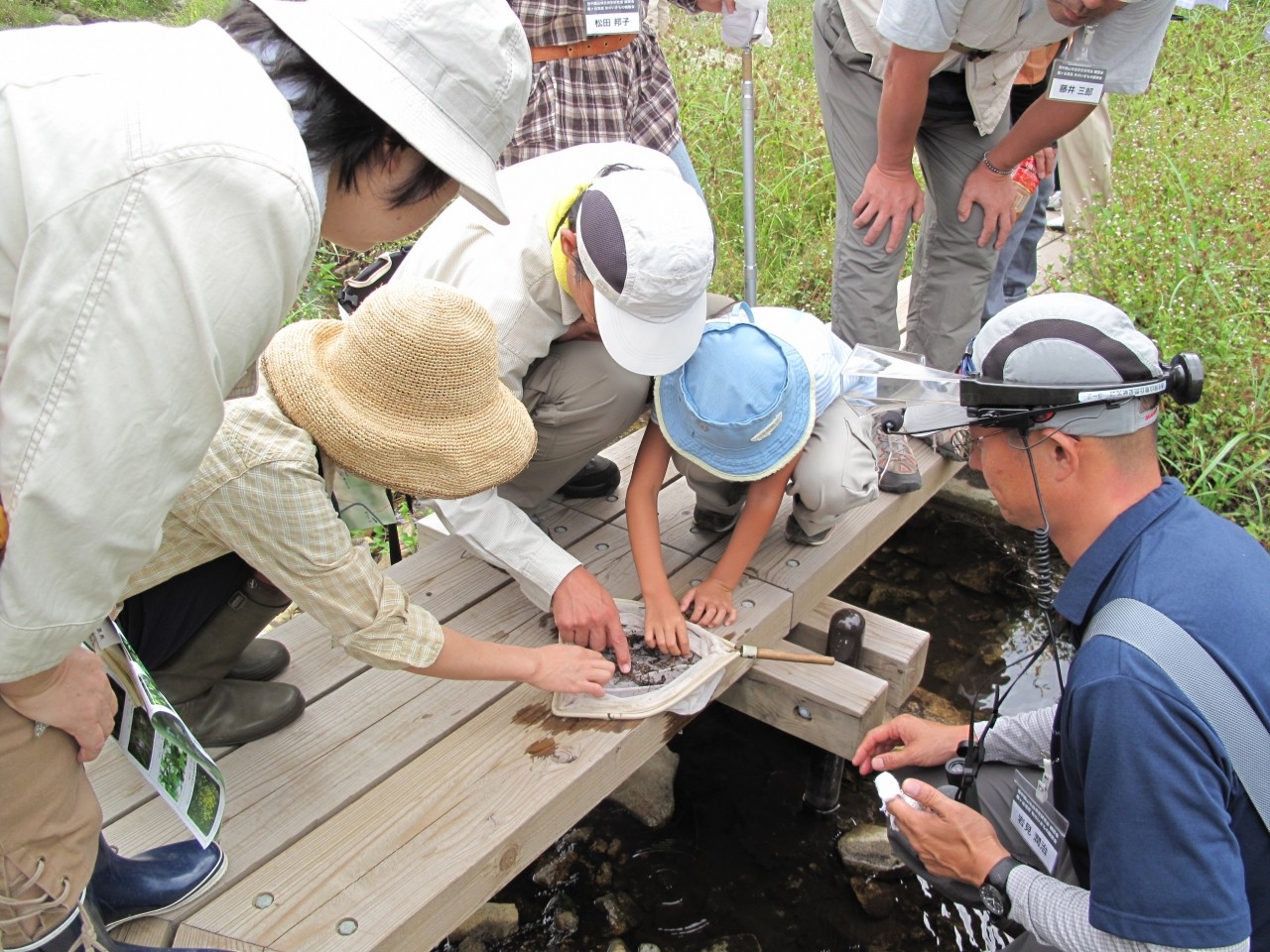 霧ヶ谷湿原の生きもの観察会。水の中に棲んでいる昆虫を観察した。