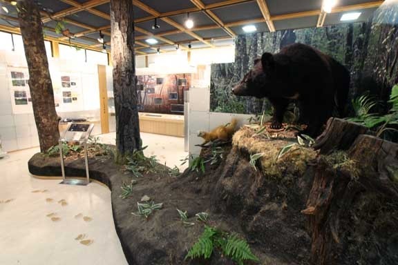 芸北 高原の自然館内の展示スペース。様々なジオラマが楽しめる。