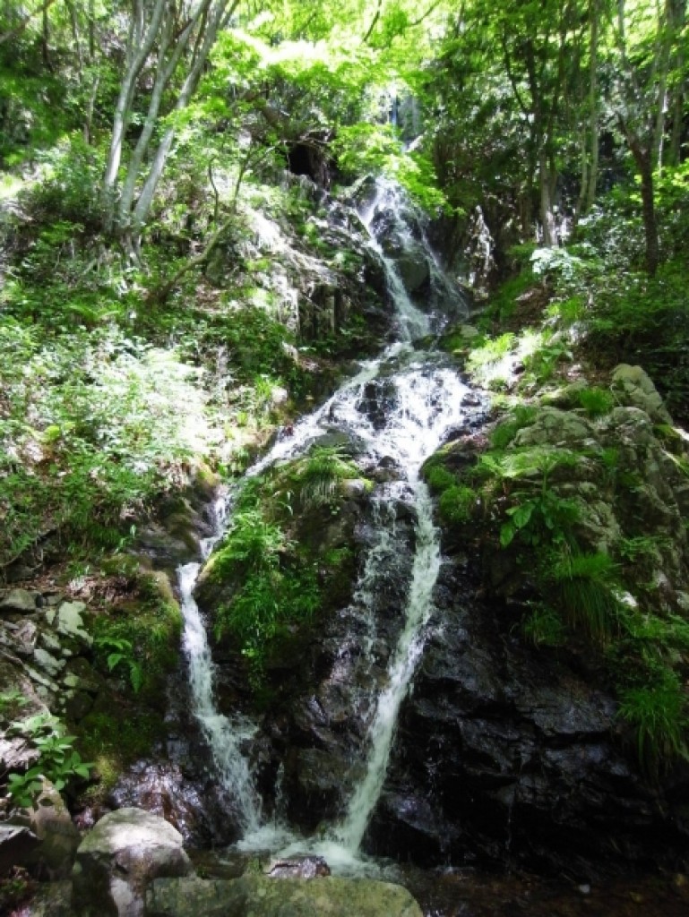 鳥尾の滝 | 【公式】広島の観光・旅行情報サイト Dive! Hiroshima