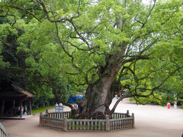 大山祇神社 | 【公式】広島の観光・旅行情報サイト Dive! Hiroshima