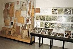比和町自然科学博物館 | 【公式】広島の観光・旅行情報サイト