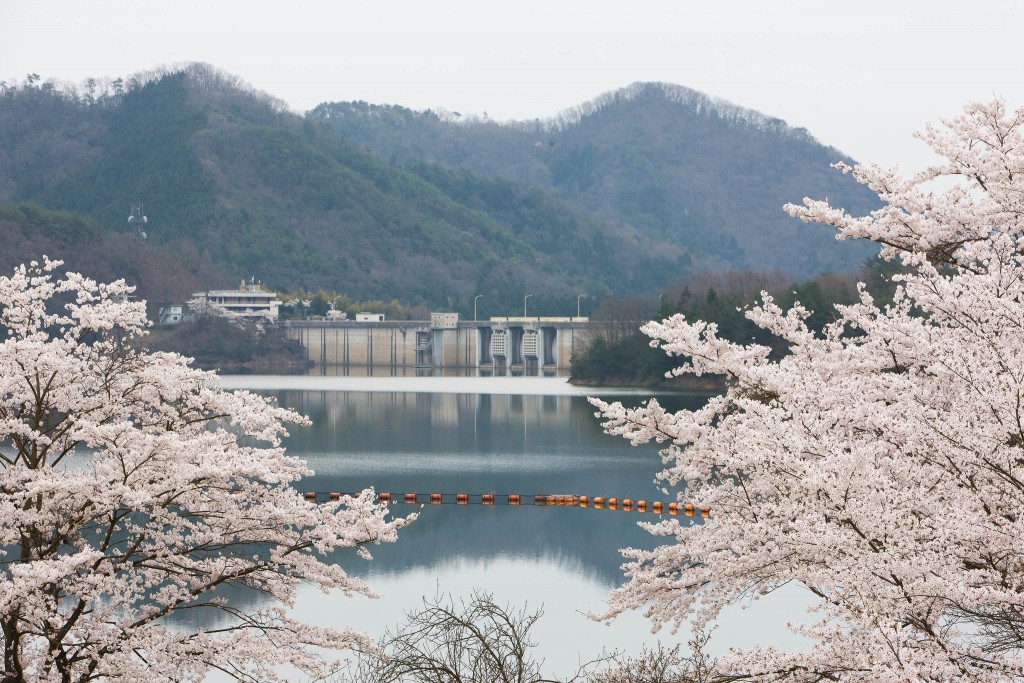 土師ダム | 【公式】広島の観光・旅行情報サイト Dive! Hiroshima