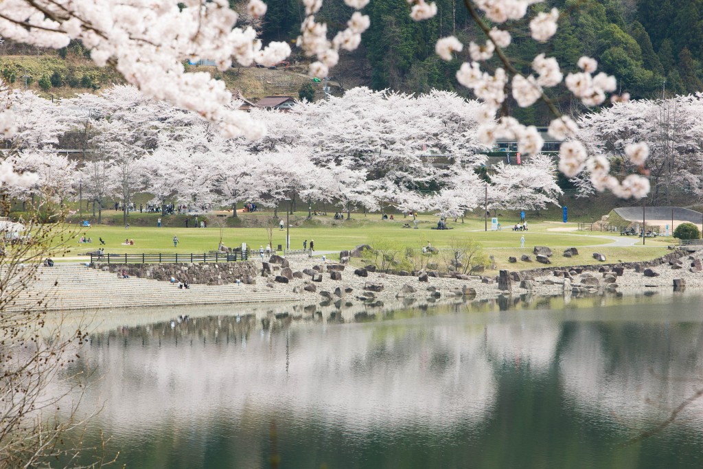 土師ダム | 【公式】広島の観光・旅行情報サイト Dive! Hiroshima