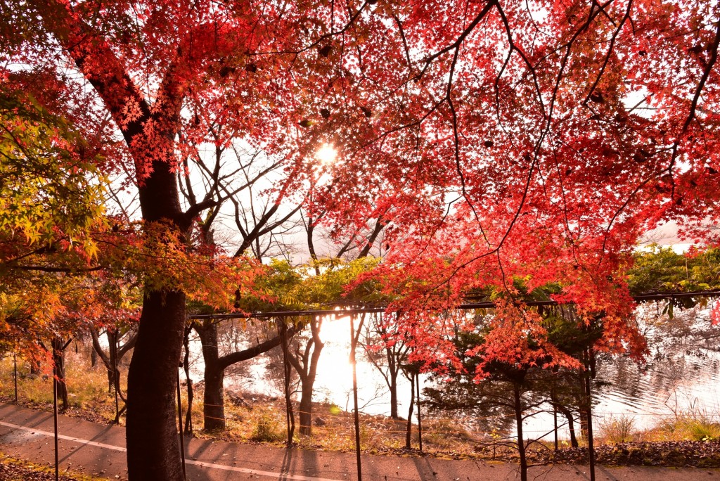 土師ダム | 【公式】広島の観光・旅行情報サイト Dive! Hiroshima