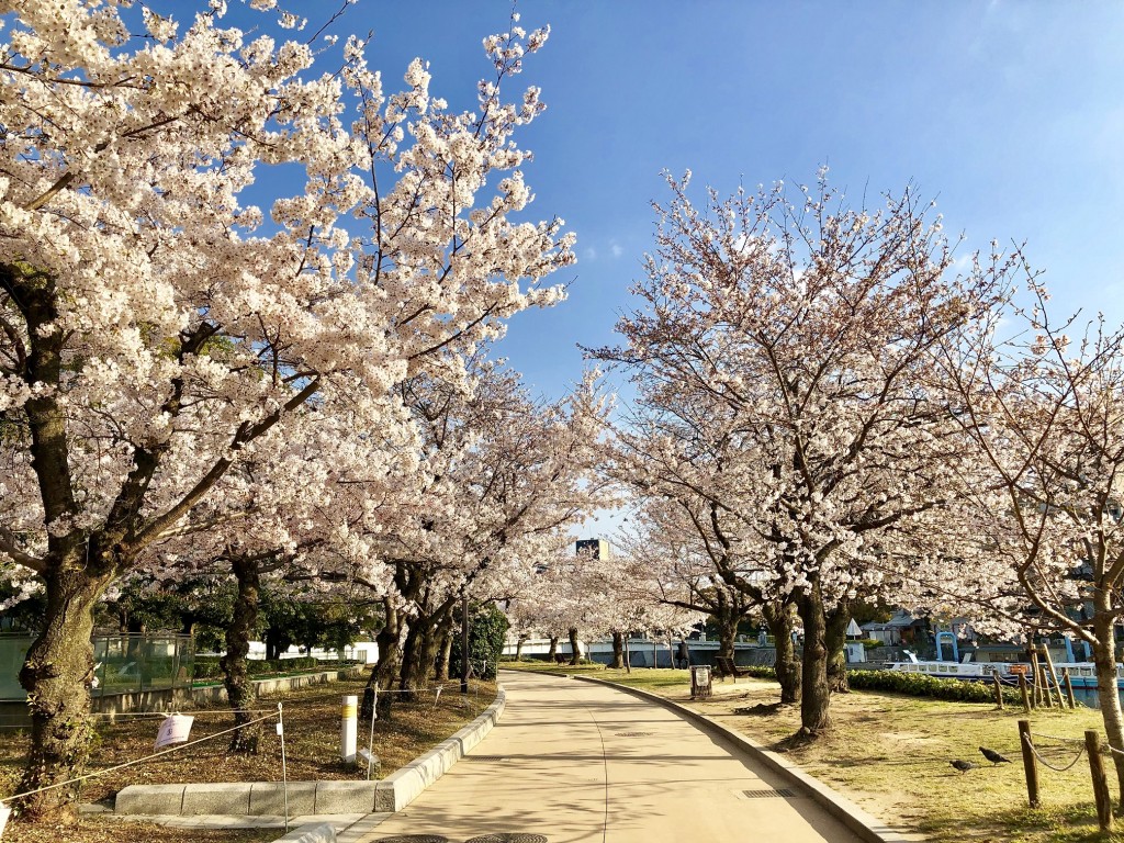 平和記念公園 公式 広島の観光 旅行情報サイト Dive Hiroshima