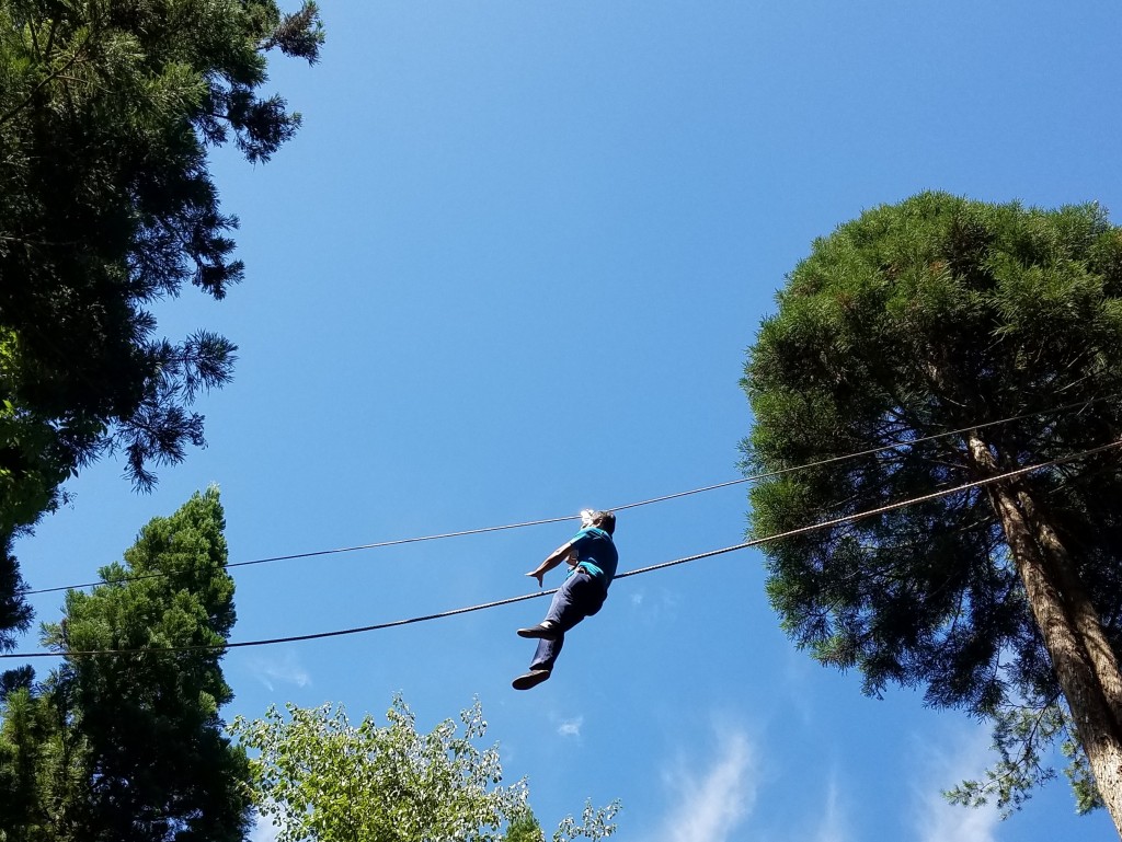 Forest Adventure Hiroshima | The Official Guide to Hiroshima