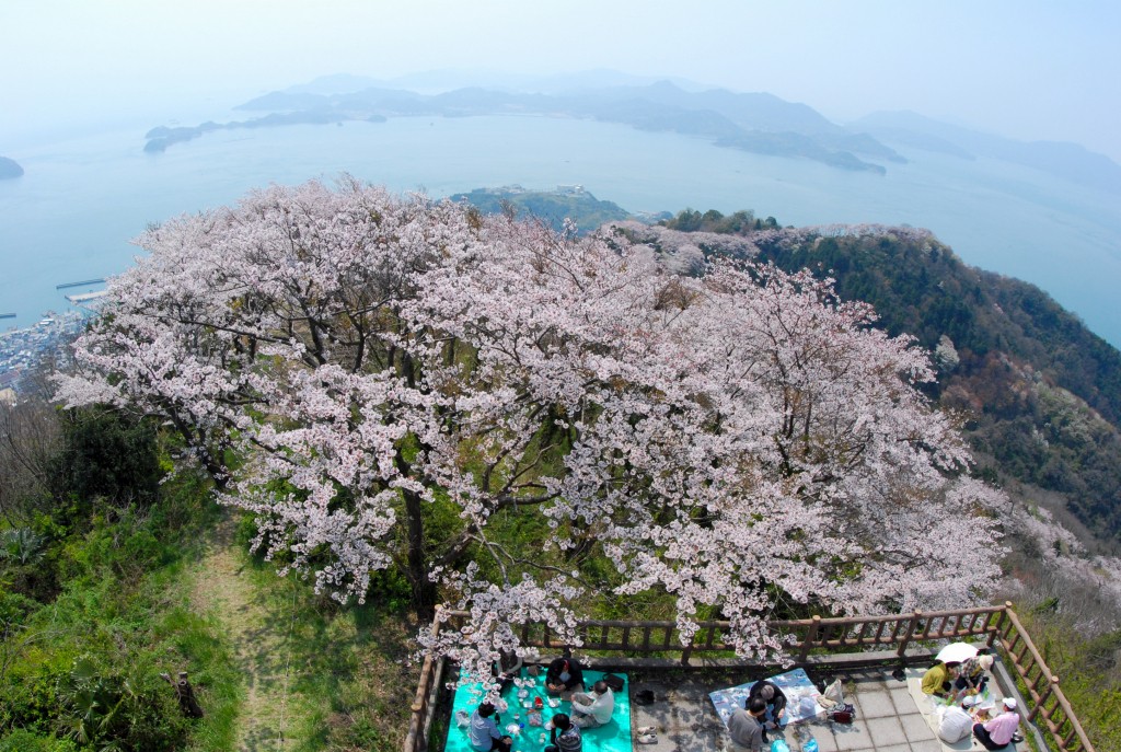 積善山 | 【公式】広島の観光・旅行情報サイト Dive! Hiroshima