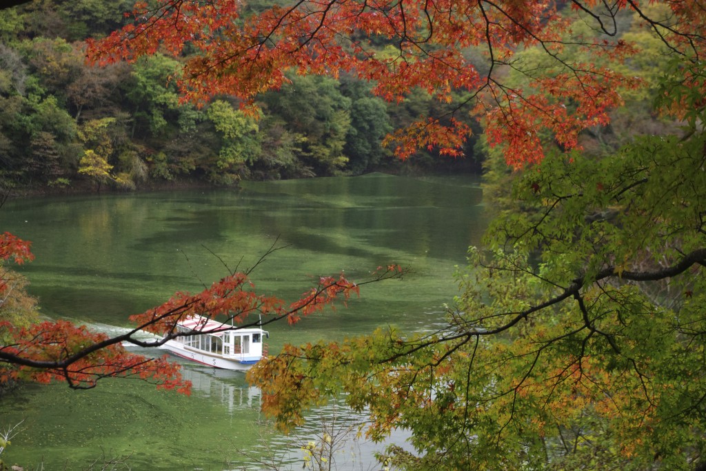 紅葉と遊覧船の風景