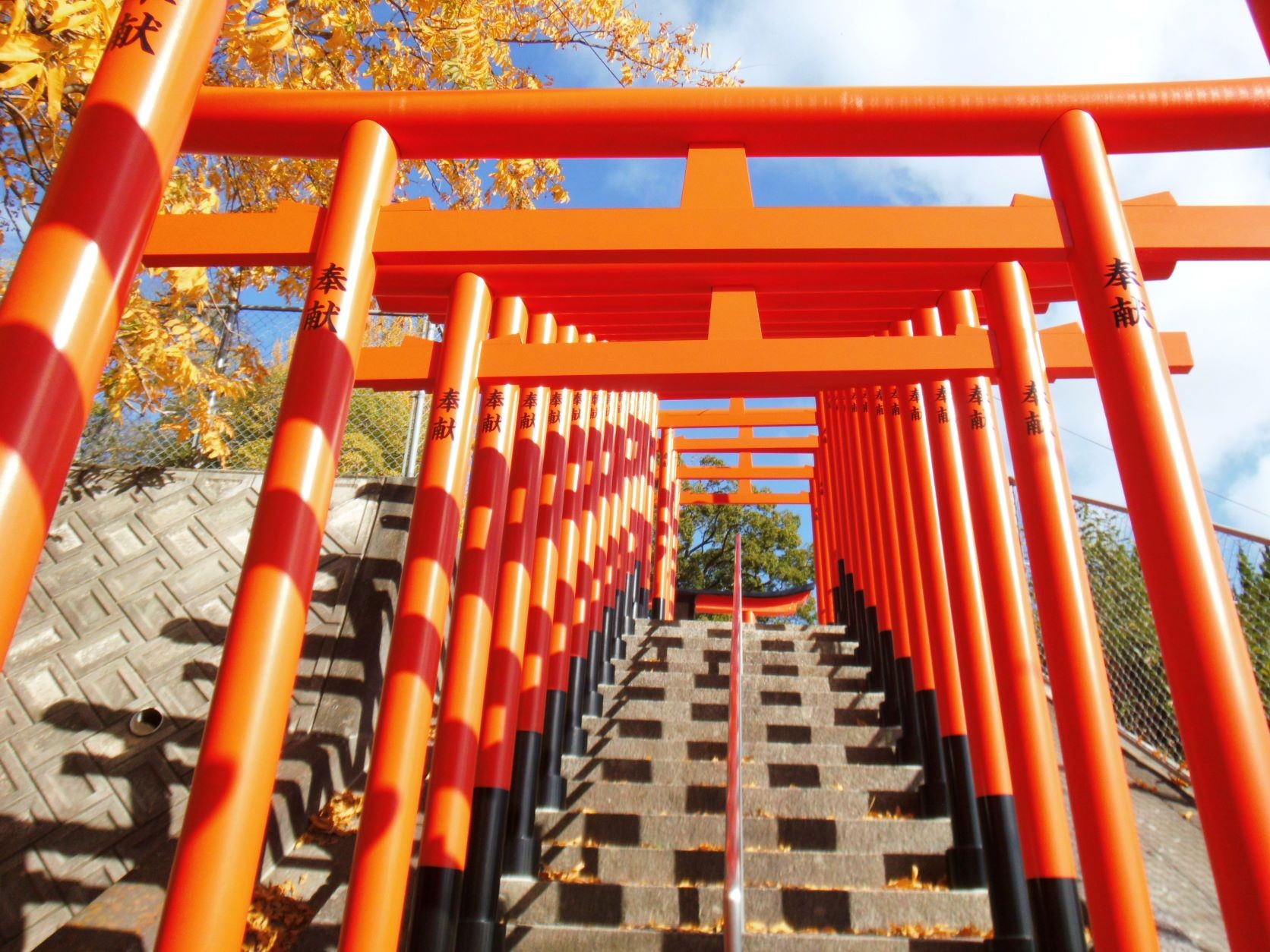 大島神社千松模様