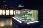 Ausstellungsraum für Fisch und Fischereimaterialien / Fischereiförderungszentrum der Stadt Hiroshima