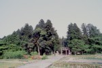 The shrine complex of Atomyo Shrine (a city-designated natural monument)