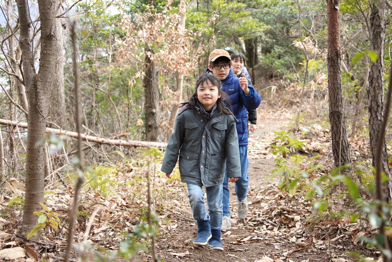 無人島で山菜狩