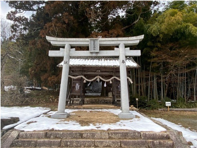 鳥居と広島県天然記念物の大杉。　　