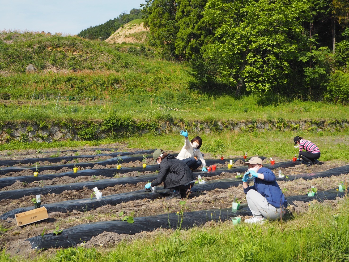 自然豊かな里山で楽しく農作業