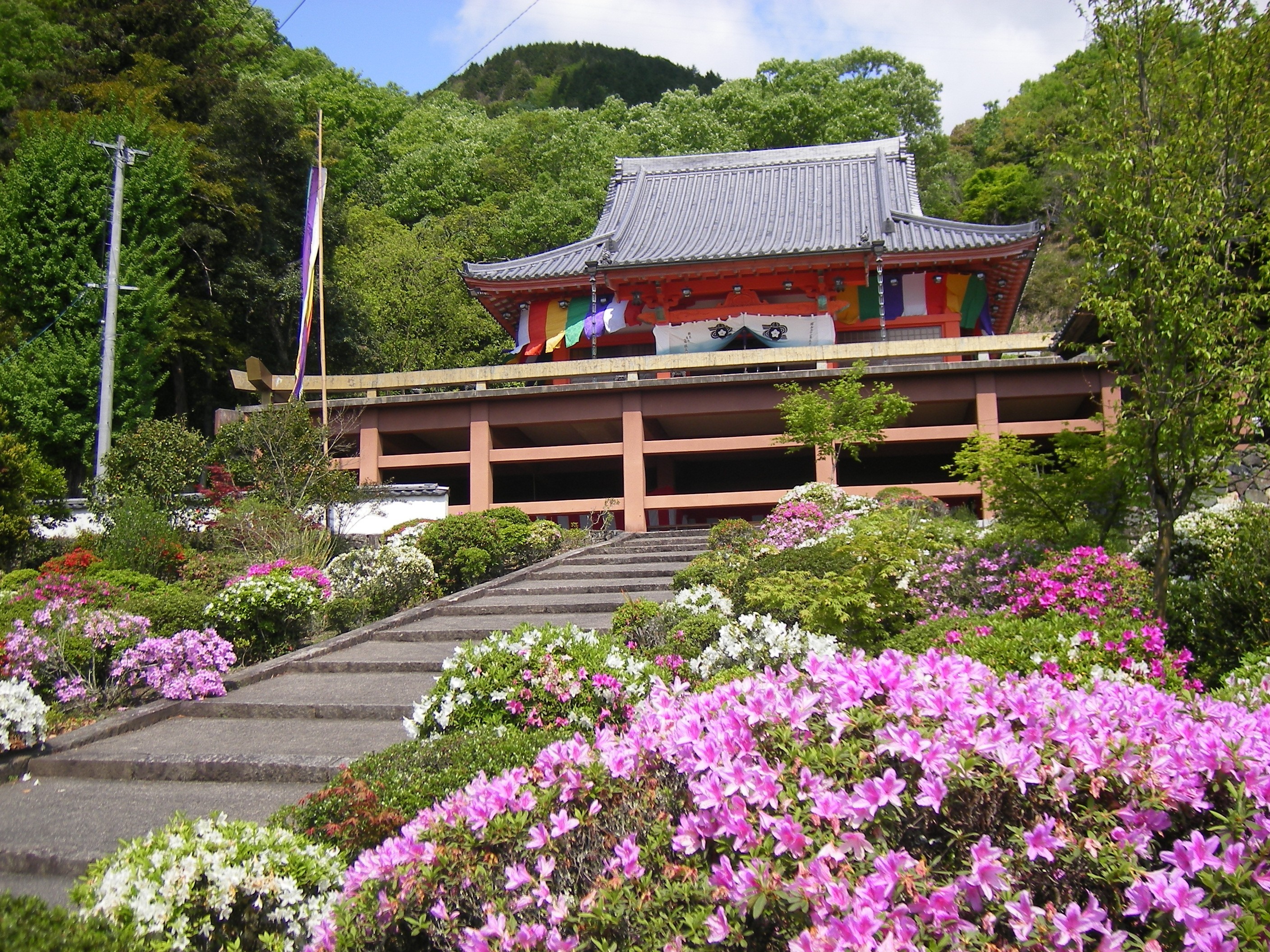 さつき寺で知られる安楽寺