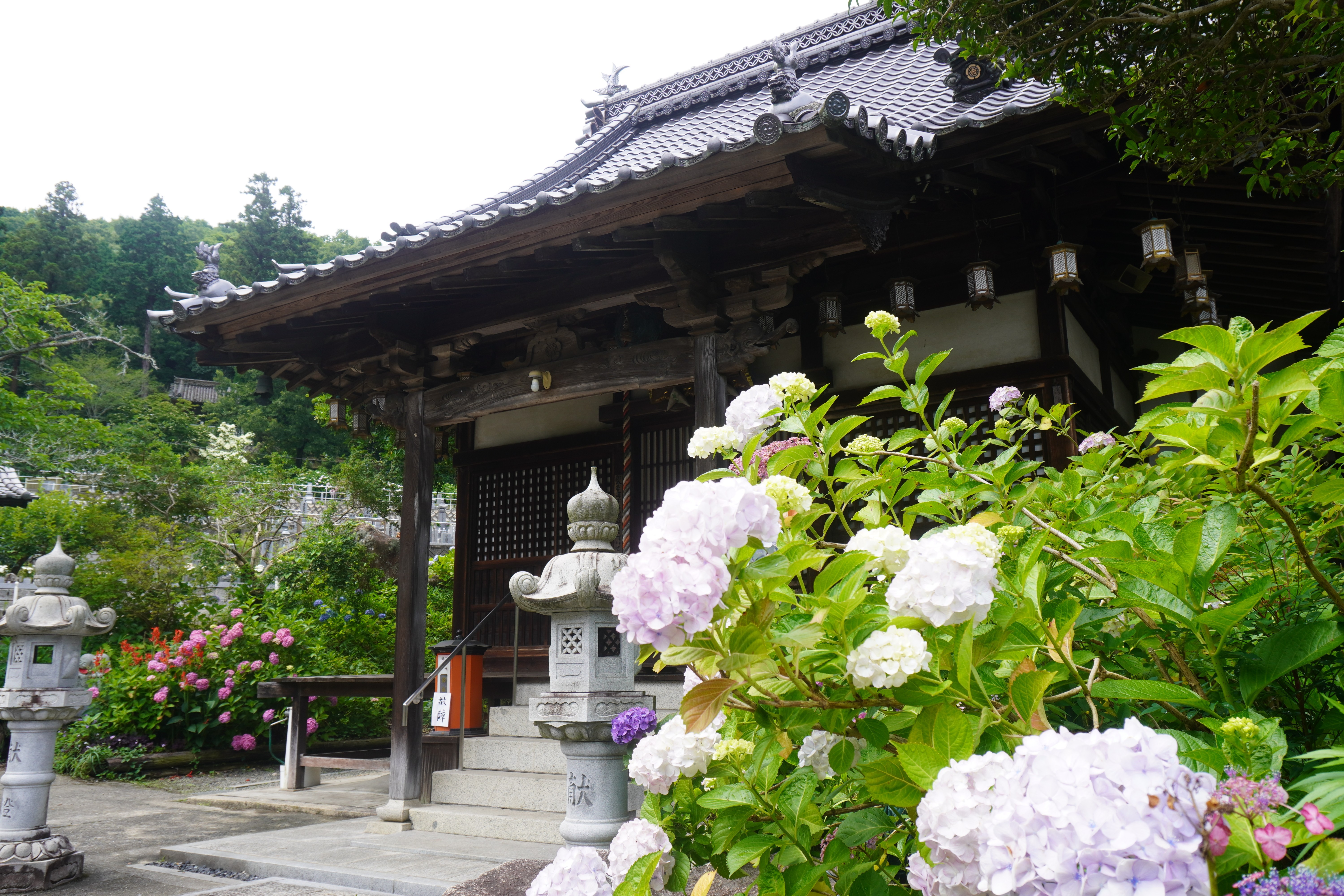 あじさい寺で知られる神宮寺