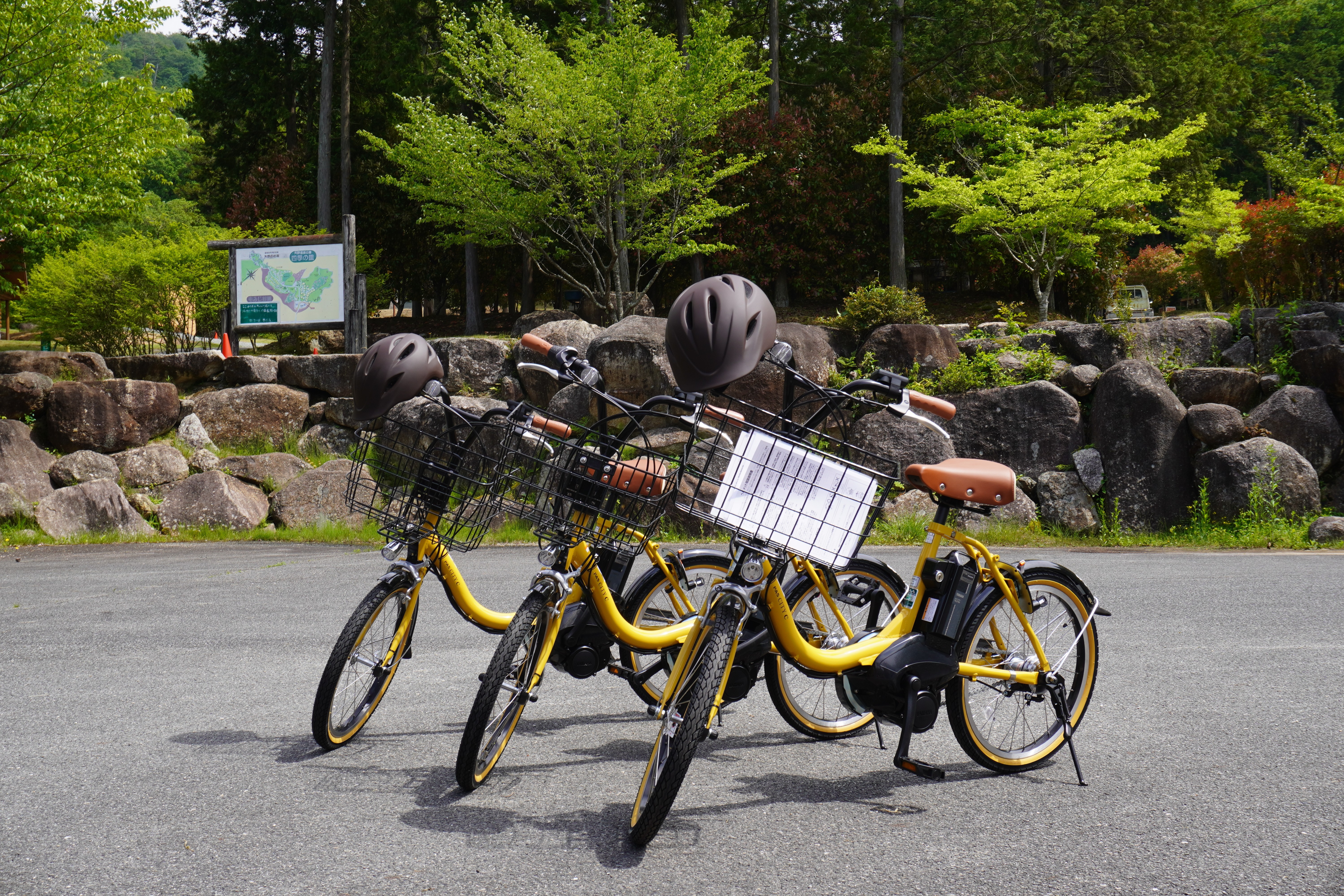 電動アシスト付き自転車をレンタルできます