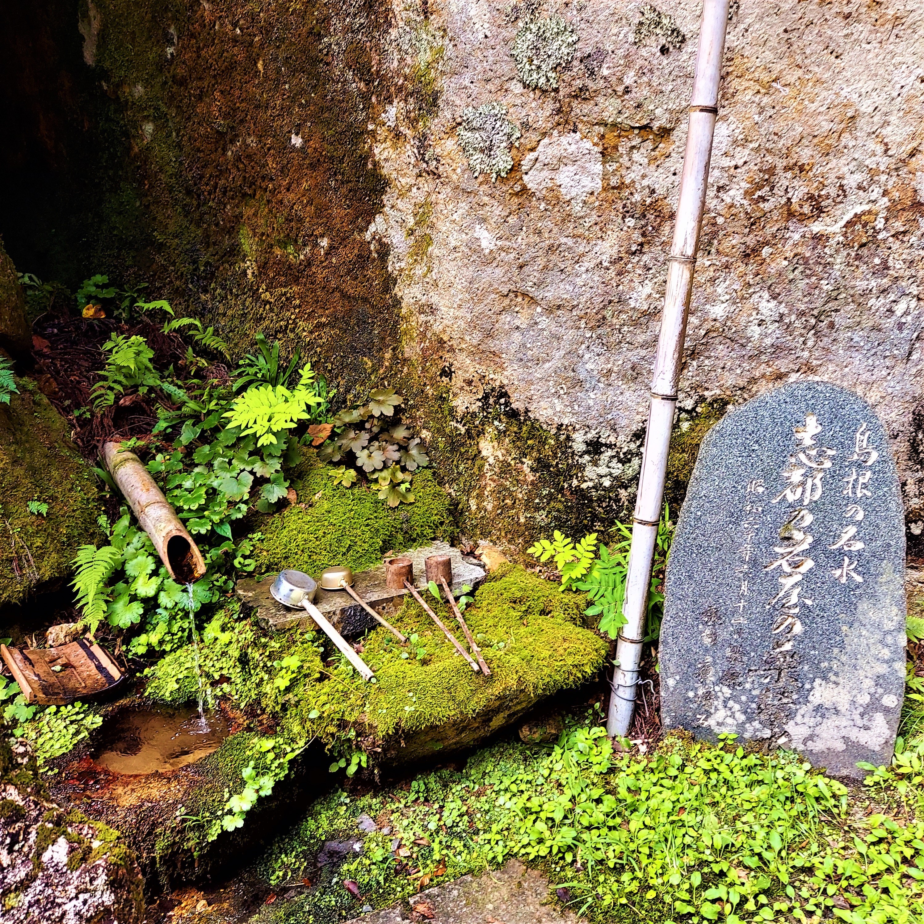 島根の名水百選　｢志都の岩屋の薬清水｣です。