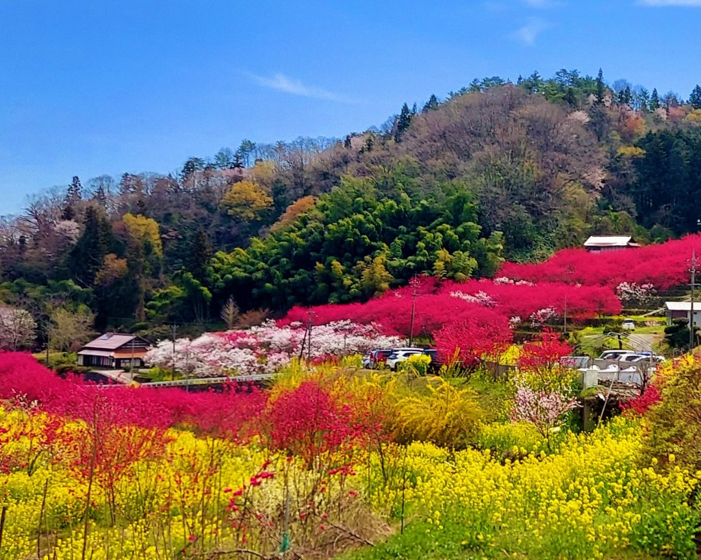 天国に一番近い里 川角 | 【公式】広島の観光・旅行情報サイト Dive