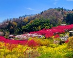 天国に一番近い里　川角