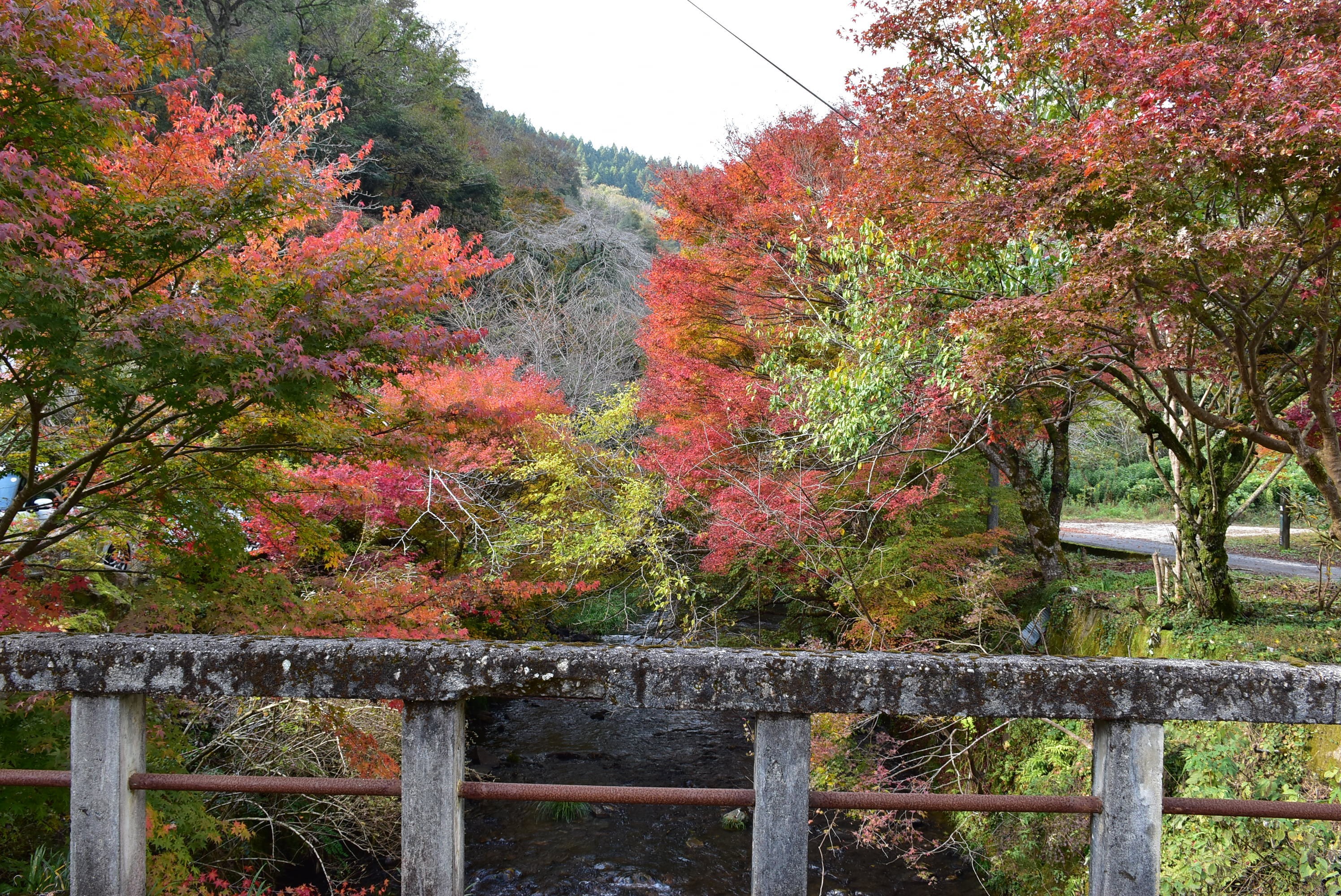 温泉橋から見た秋の湯抱