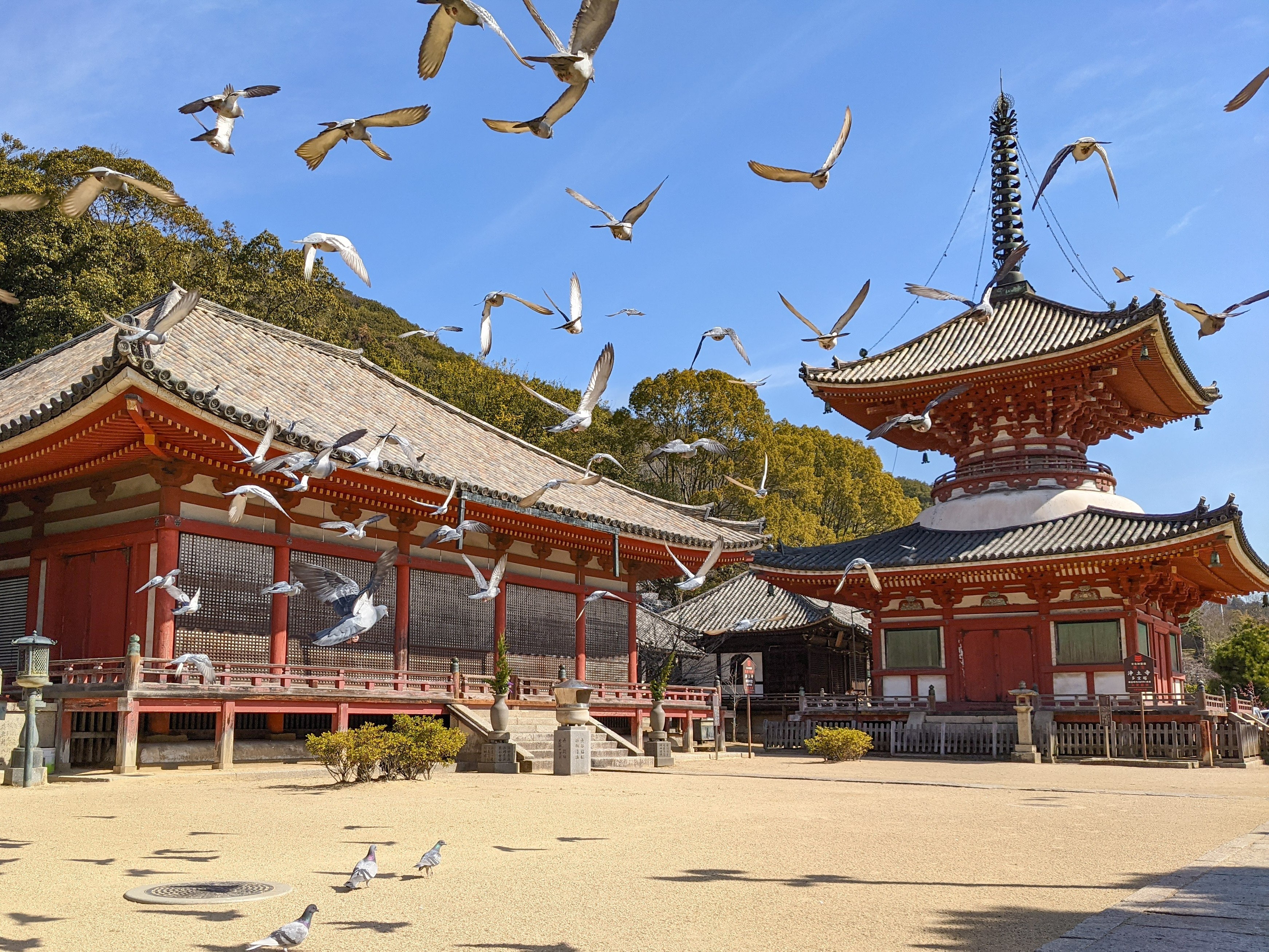 １４００年以上の歴史が残る浄土寺