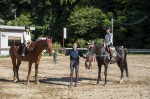 Horseback riding experience with lessons Deepen your friendship with horses through feeding and brushing!