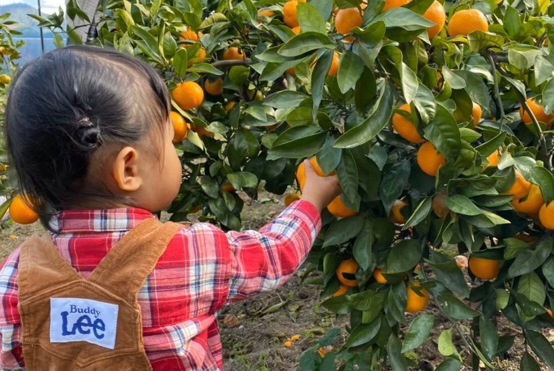 平地の園地は小さなお子様やご年配の方にも安心です。