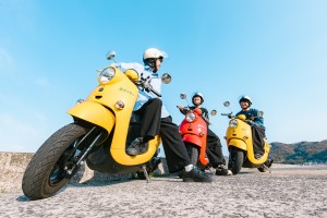 しましまさん専用 small.jpg