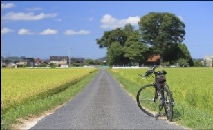 棚田