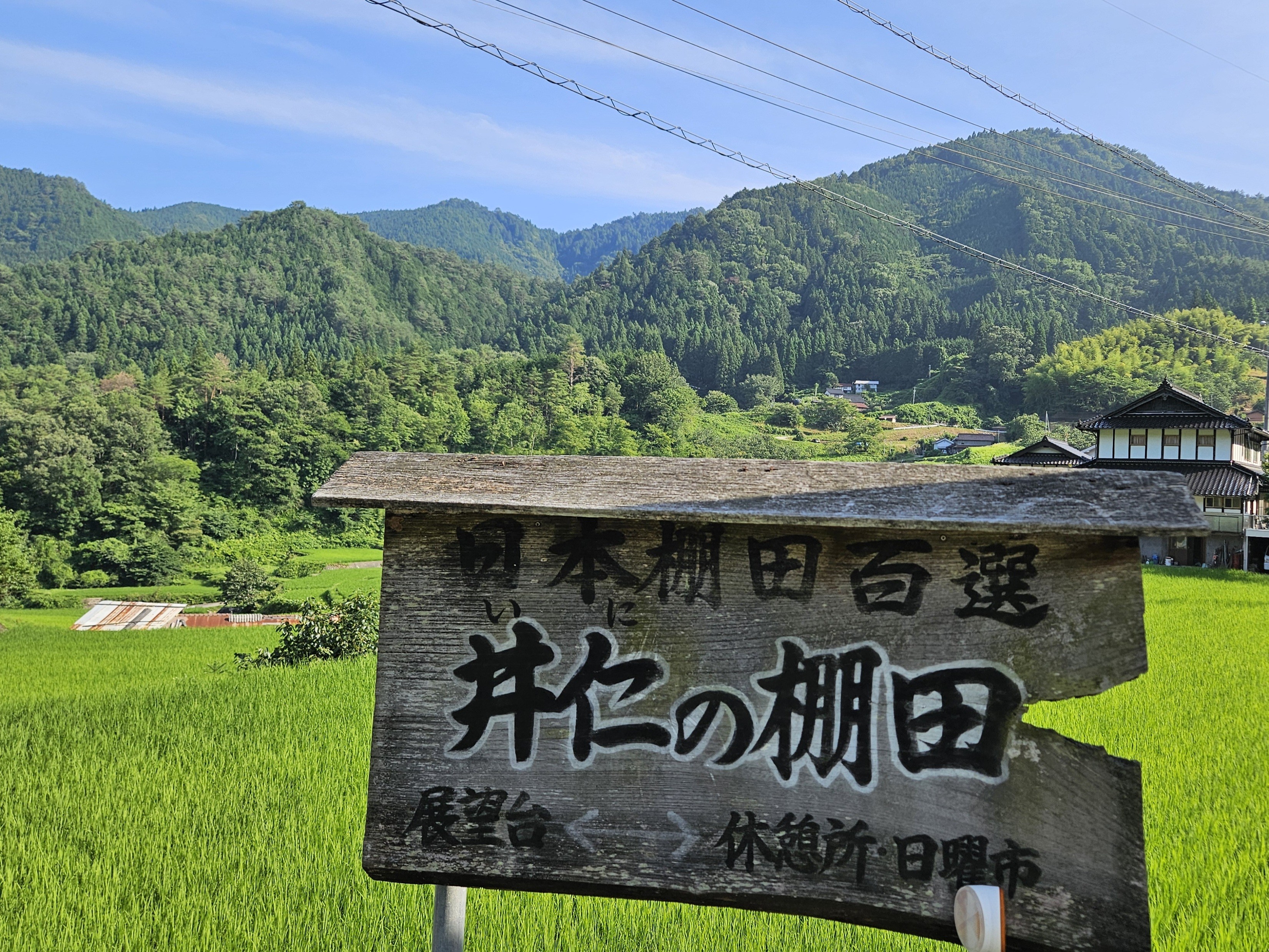 井仁の棚田